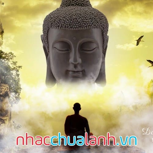 Album Nhạc Thiền Tĩnh Tâm
