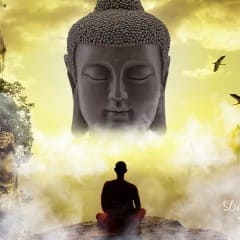 Nhạc Thiền Tĩnh Tâm