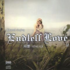 Tình Yêu Bất Tận - Endless Love Vol.6