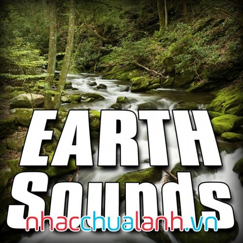 Album Âm Thanh Trái Đất - Earth Sounds