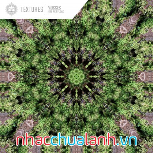 Album Triều Lên Và Triều Xuống - Textures Vol.1