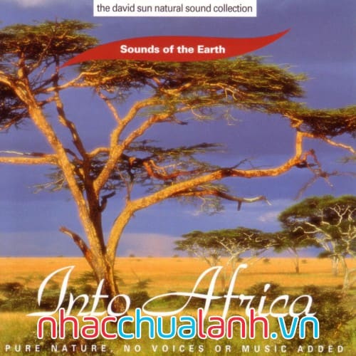 Album Châu Phi Hoang Dã - Into Africa