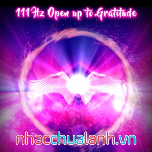 Album Nhạc Tần Số 111 Hz Vol.1