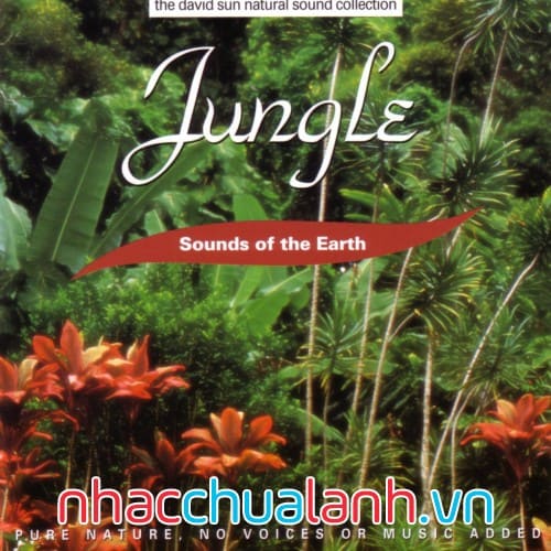 Album Rừng Rậm - Jungle Vol.1