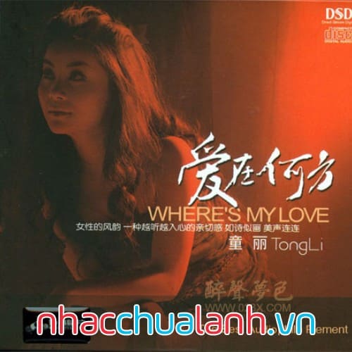 Album Tình Yêu Ở Phương Nào - Where’s My Love