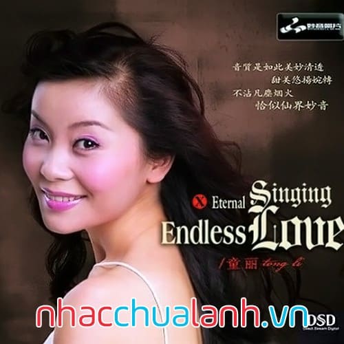 Album Tình Yêu Bất Tận - Endless Love Vol.10