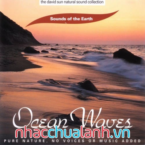 Album Tiếng Sóng Biển - Ocean Waves
