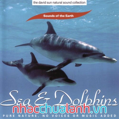 Album Biển Và Cá Heo - Sea And Dolphins