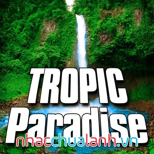 Album Thiên Đường Nhiệt Đới - Tropic Paradise