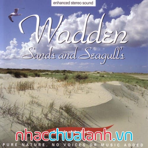 Album Cát Và Hải Âu - Sands And Seagulls