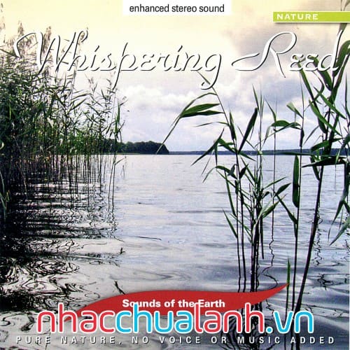 Album Cây Sậy Thì Thầm - Whispering Reed