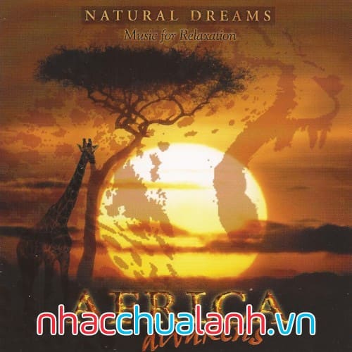 Album Châu Phi Thức Tỉnh - Africa Awakens