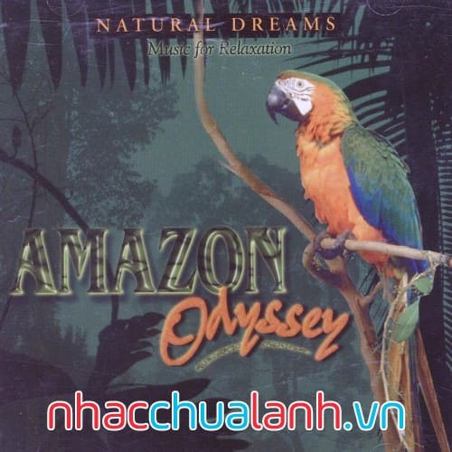 Album Cuộc Phiêu Lưu Trong Rừng Rậm Amazon - Amazon Odyssey
