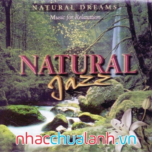 Album Điệu Jazz Tự Nhiên - Natural Jazz