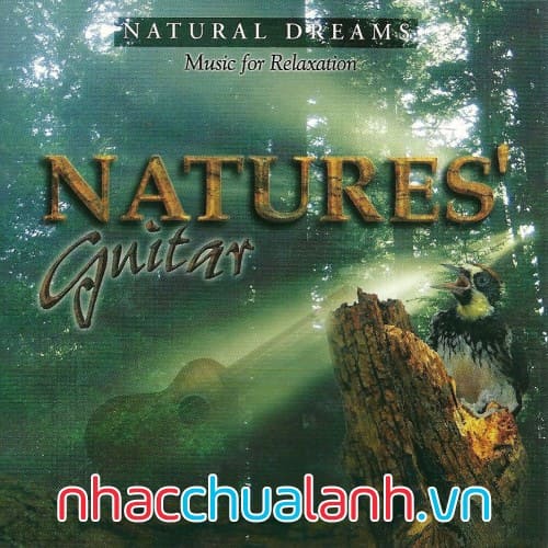 Album Guitar Và Thiên Nhiên - Natures’ Guitar