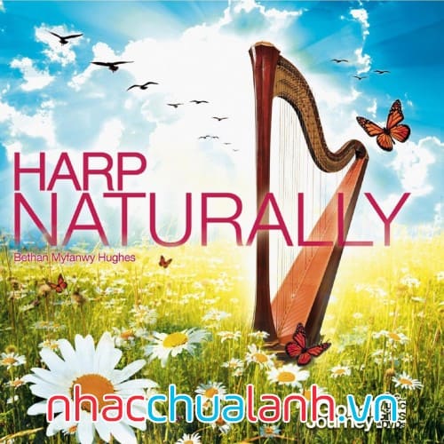 Album Đàn Hạc Tự Nhiên - Harp Naturally