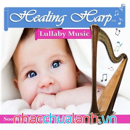 Album Nhạc Từ Đàn Hạc Chữa Lành