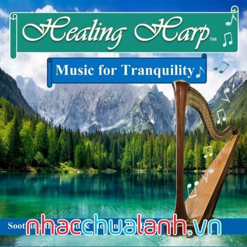 Album Âm Nhạc Đàn Hạc Chữa Bệnh Với Sự Yên Tĩnh