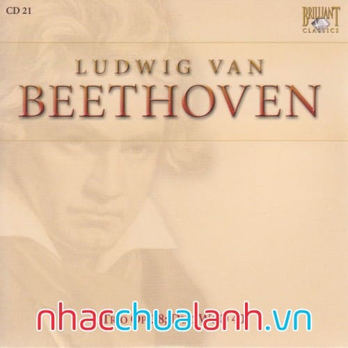 Album Trio Op.28; Duo Woo40