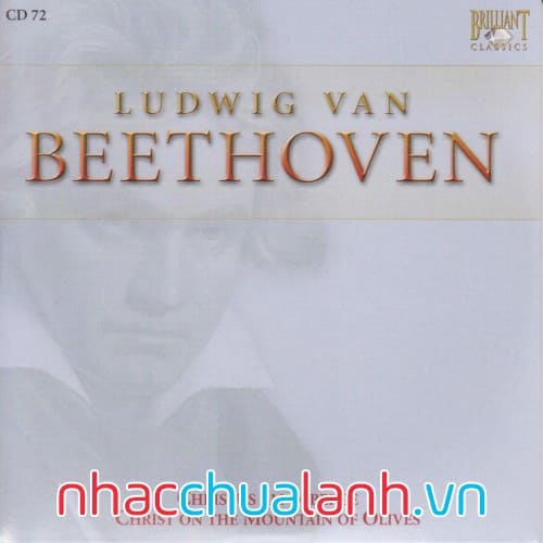 Album Christus Am Olberge