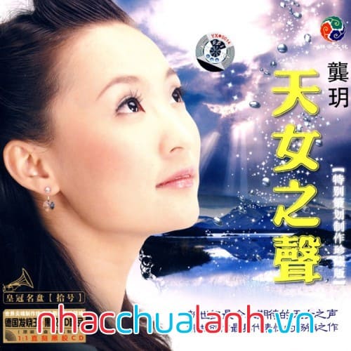 Album Tiếng Nói Từ Trái Tim