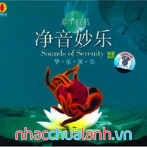 Album Tịnh Âm Diệu Nhạc - Sounds Of Serenity