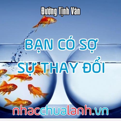 Album Bạn Có Sợ Sự Thay Đổi