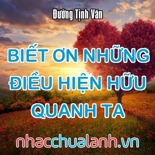Album Biết Ơn Những Điều Hiện Hữu Quanh Ta