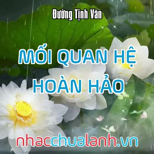 Album Mối Quan Hệ Hoàn Hảo