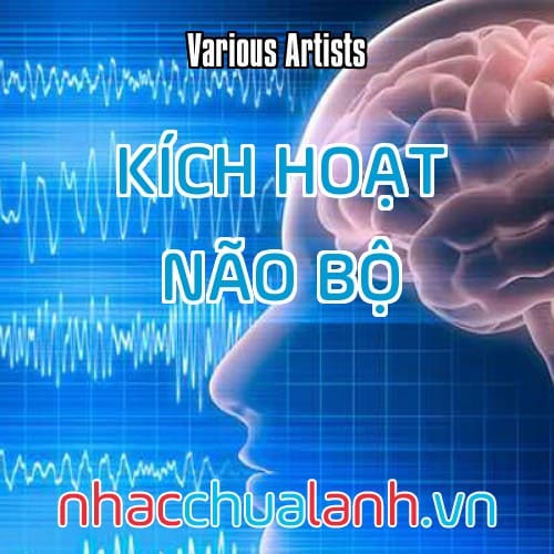 Album Kích Hoạt Não Bộ - Sóng Nhạc Gamma