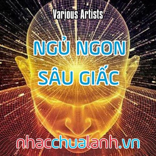 Album Ngủ Ngon Sâu Giấc - Sóng Não Delta