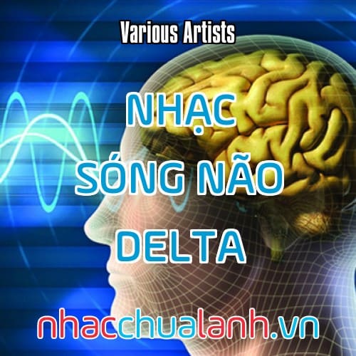 Album Nhạc Sóng Não Delta