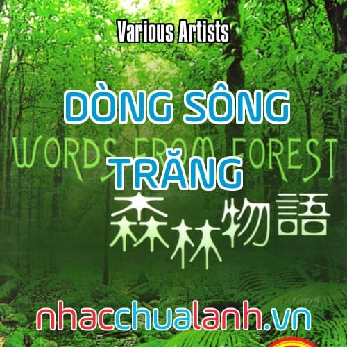 Album Dòng Sông Trăng