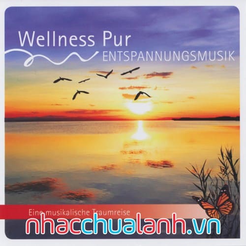 Album Nhạc Thư Giãn