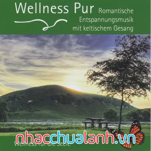 Album Âm Nhạc Thư Giãn Lãng Mạn Với Tiếng Hát Celtic