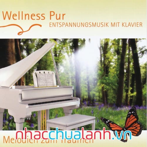 Album Âm Nhạc Thư Giãn Với Piano