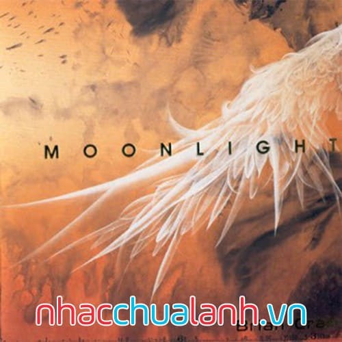Album Ánh Trăng - Moonlight