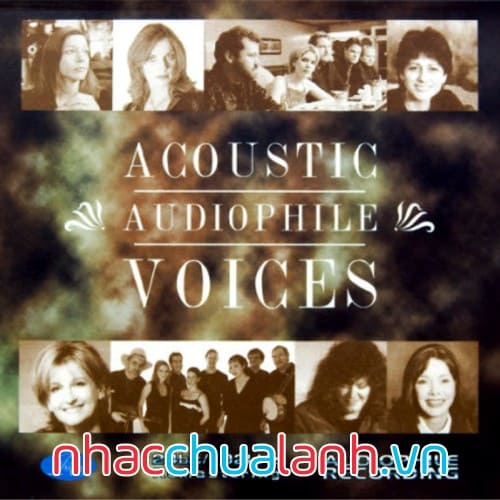 Album Acoustic Audiophile Voices