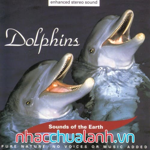 Album Tiếng Cá Heo - Dolphins