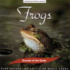 Tiếng Ếch Kêu - Frogs
