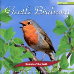 Tiếng Chim Hót Dịu Dàng - Gentle Birdsong