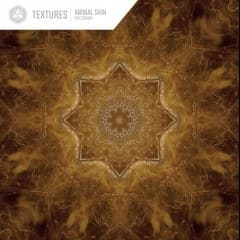Môi Trường Xung Quanh - Textures Vol.2