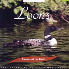 Chim Lặn Gavia - Loons Vol.1