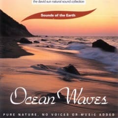 Tiếng Sóng Biển - Ocean Waves