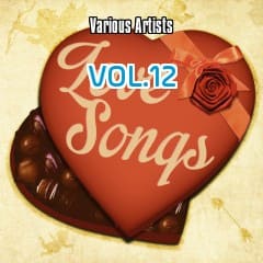 Những Bài Hát Về Tình Yêu - Love Songs Vol.12