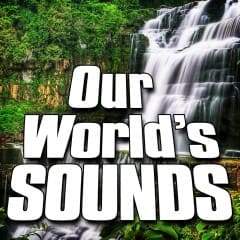 Âm Thanh Thế Giới Của Chúng Ta - Our World’s Sounds