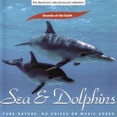 Biển Và Cá Heo - Sea And Dolphins