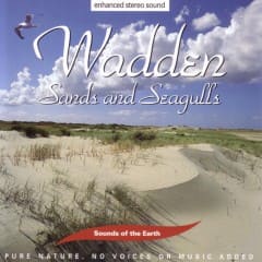 Cát Và Hải Âu - Sands And Seagulls