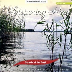 Cây Sậy Thì Thầm - Whispering Reed