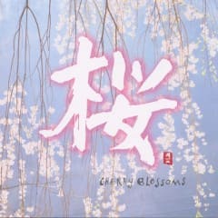 Pacific Moon: Cherry Blossoms